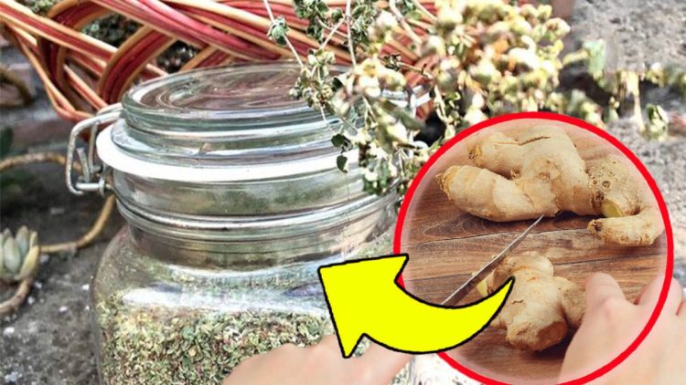 Tisane de gingembre