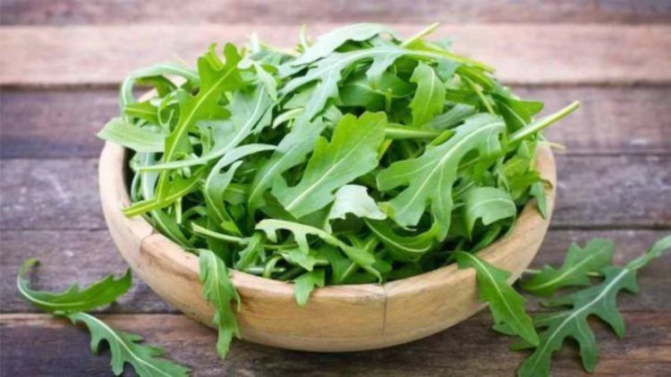 Bienfaits de la roquette