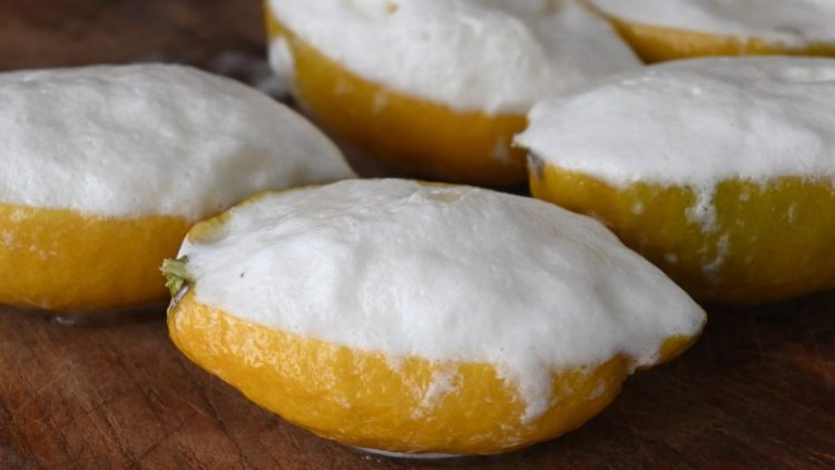 sorbet au citron maison