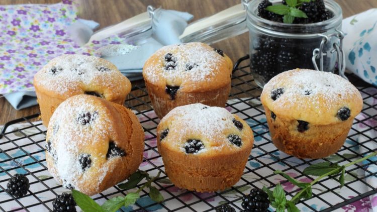 muffins aux mûres