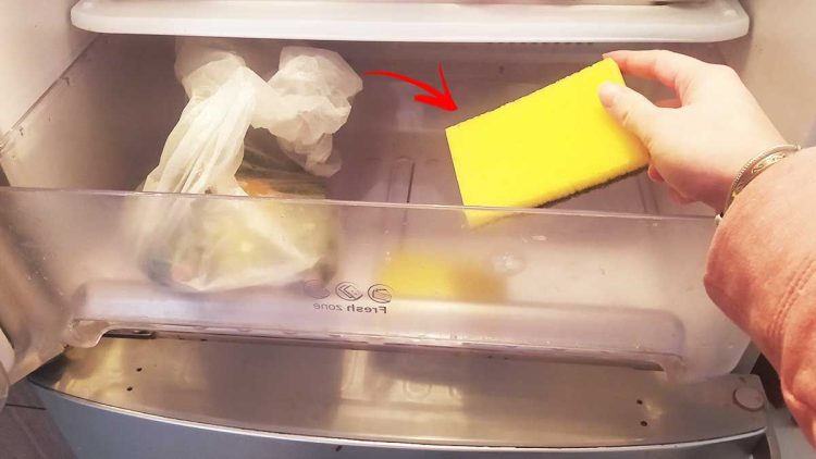 étonnante pour conserver les fruits et légumes au réfrigérateur