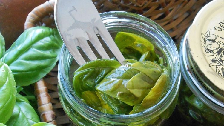 Conserver le basilic frais dans l'huile