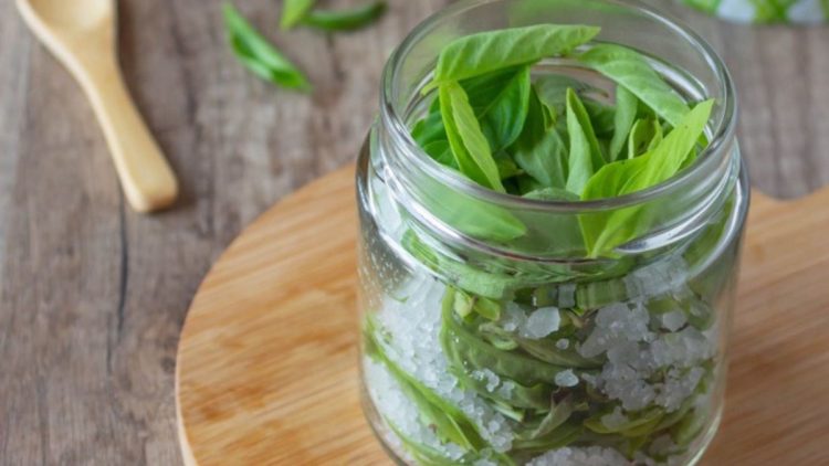 Conserver du basilic avec du sel