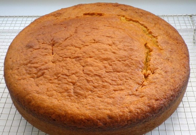 Gâteau au yaourt très facile et rapide