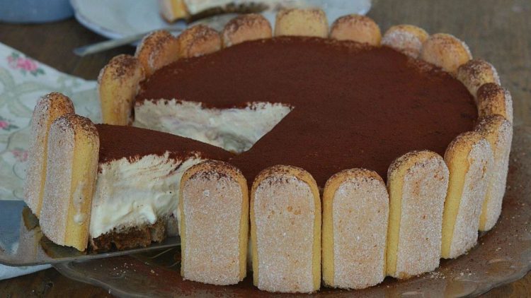 Charlotte façon tiramisu