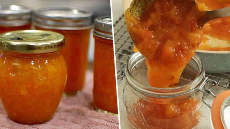 marmelade sans sucre ajouté