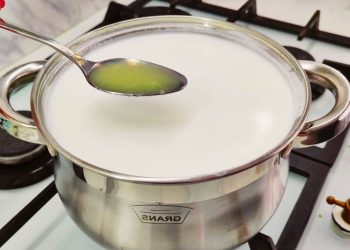 FETA fait maison